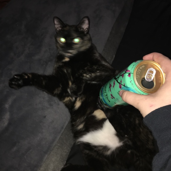 Meet your Posher, Giovanni - Picture 1 of 1